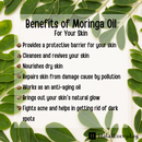 Moringa Oil 4oz Dropper