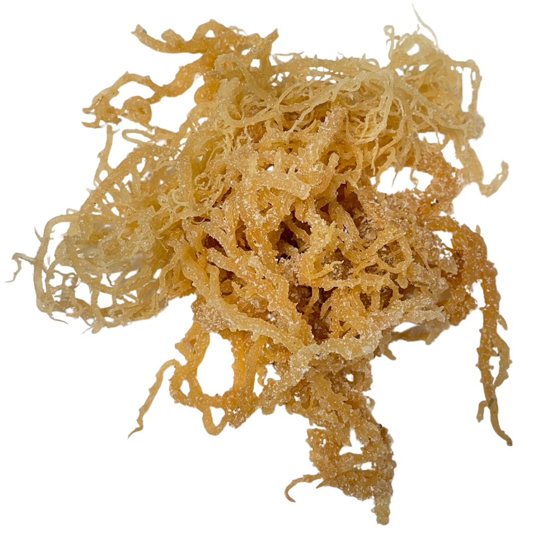 Irish Sea Moss (Whole Leaf)