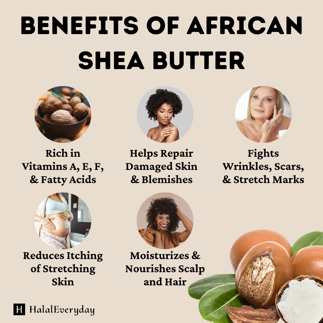 Shea Butter 5 lb. Bucket |  Skincare Creation | Cosmetic Grade