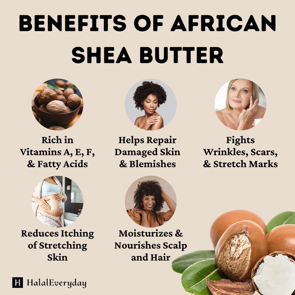 Ivory Shea Butter 28 oz. Jar | Skincare Creation | Cosmetic Grade